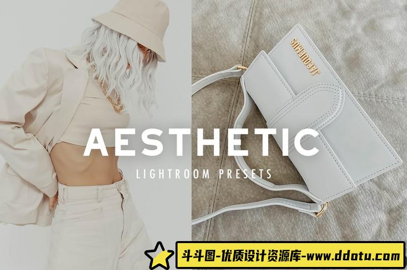 人像LR预设博客经典裸色人像预设lr预设ps滤镜pr调色lightroom人像lut插件-斗斗图