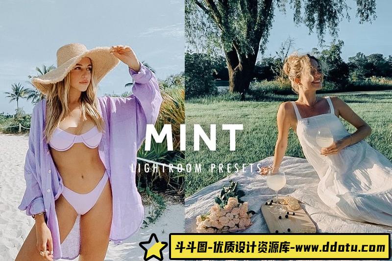 人像LR预设风丁香薄荷色通透人像预设lr预设ps滤镜pr调色lightroom人像lut插件-斗斗图