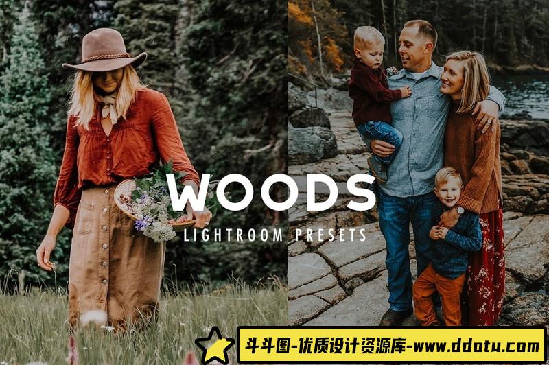 人像LR预设风格森系人像质感电影胶片预设lr预设ps滤镜pr调色lightroom人像lut插件-斗斗图