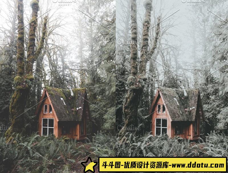 人像LR预设波希米亚风格胶片预设lr预设ps滤镜pr调色lightroom人像lut插件