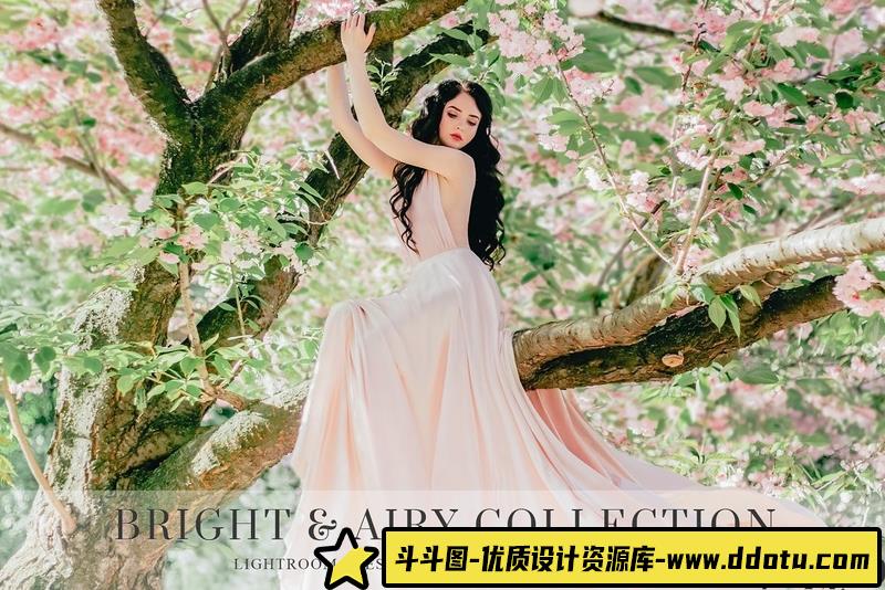 人像LR预设高端明亮通透艺术人像预设与手机滤镜lr预设ps滤镜pr调色lightroom人像lut插件-斗斗图