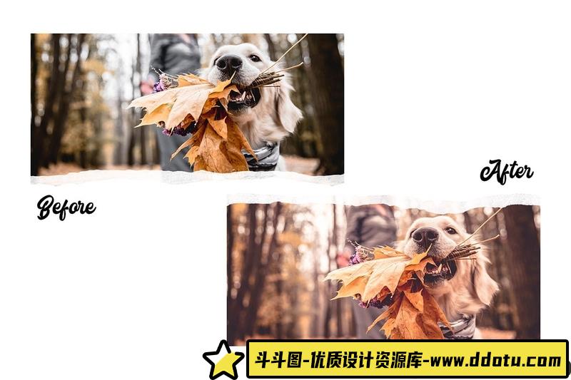 人像LR预设高级秋季人像摄影后期预设15lr预设ps滤镜pr调色lightroom人像lut插件