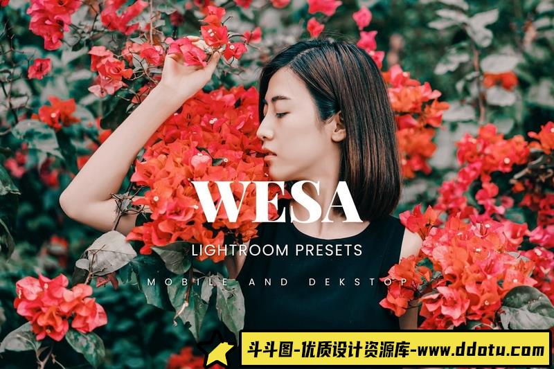 人像LR预设高雅莫兰迪电影色调预设和滤镜lr预设ps滤镜pr调色lightroom人像lut插件-斗斗图