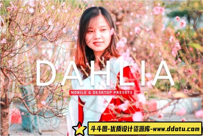 人像LR预设国外大师级欧美波西米亚电影预设lr预设ps滤镜pr调色lightroom人像lut插件-斗斗图