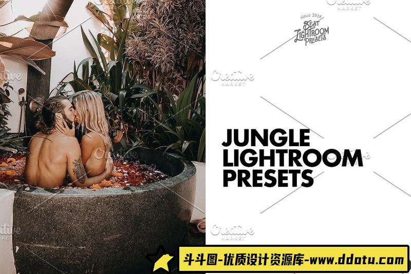 人像LR预设凉爽温暖森系旅拍人像后期调色预设lr预设ps滤镜pr调色lightroom人像lut插件-斗斗图