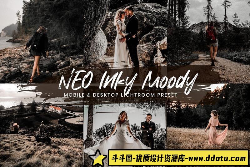 人像LR预设旅行婚礼情绪复古人像预设与预设15lr预设ps滤镜pr调色lightroom人像lut插件-斗斗图