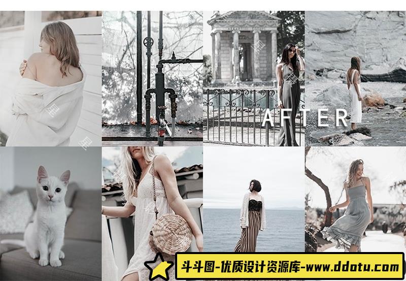 人像LR预设莫兰迪预设lr预设ps滤镜pr调色lightroom人像lut插件-斗斗图