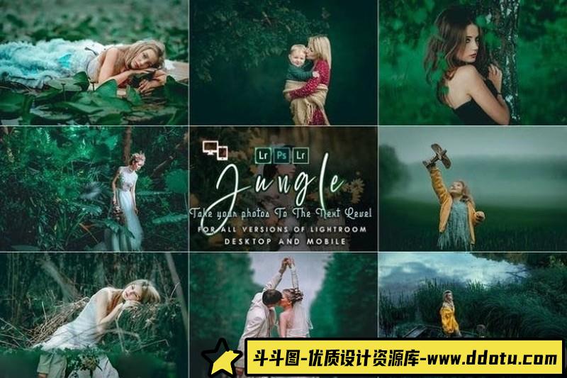 人像LR预设清新文艺人像森系预设lr预设ps滤镜pr调色lightroom人像lut插件-斗斗图