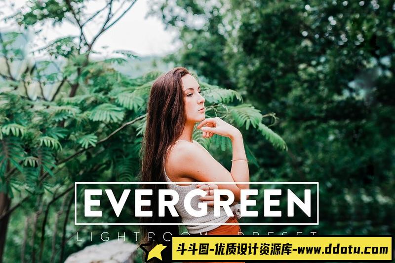 人像LR预设森系黑暗电影胶片情绪人像预设与移动预设预设lr预设ps滤镜pr调色lightroom人像lut插件-斗斗图