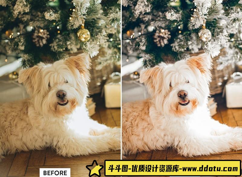 人像LR预设圣诞新年家庭人像预设lr预设ps滤镜pr调色lightroom人像lut插件