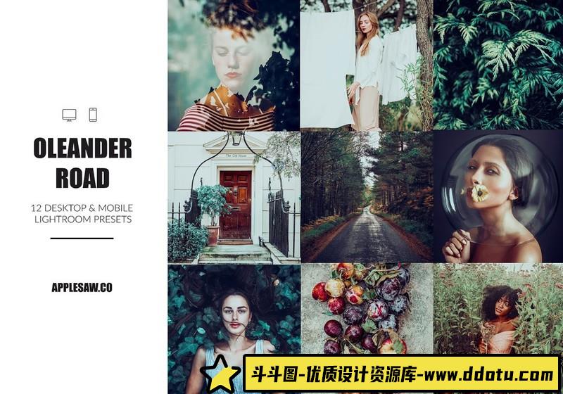 人像LR预设时尚梦幻电影胶片预设lr预设ps滤镜pr调色lightroom人像lut插件-斗斗图