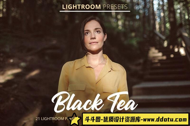 人像LR预设外拍人像通透深色胶片预设lr预设ps滤镜pr调色lightroom人像lut插件-斗斗图