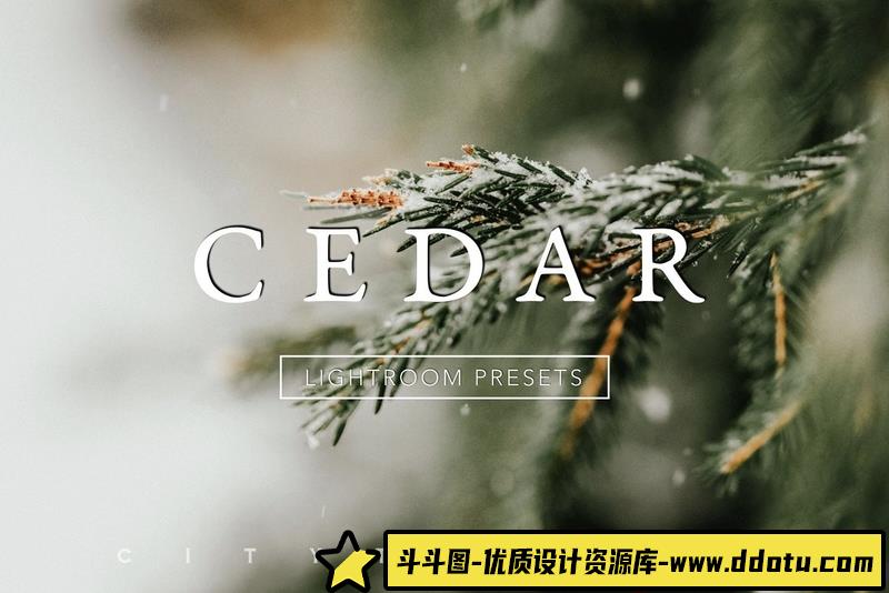 人像LR预设微妙喜怒无常电影情绪色彩预设lr预设ps滤镜pr调色lightroom人像lut插件-斗斗图