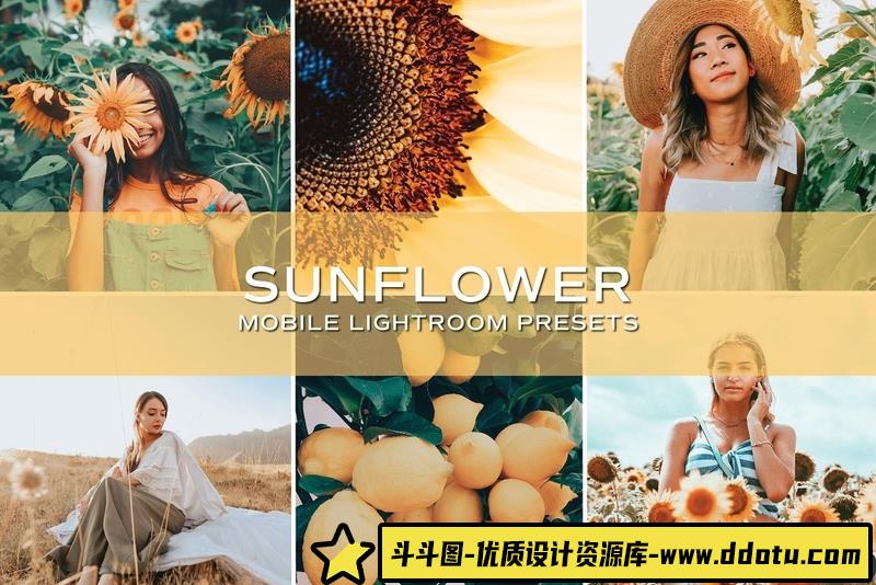 人像LR预设向日葵花田清新胶片人像预设+预设lr预设ps滤镜pr调色lightroom人像lut插件-斗斗图