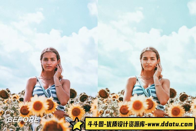 人像LR预设向日葵花田清新胶片人像预设+预设lr预设ps滤镜pr调色lightroom人像lut插件