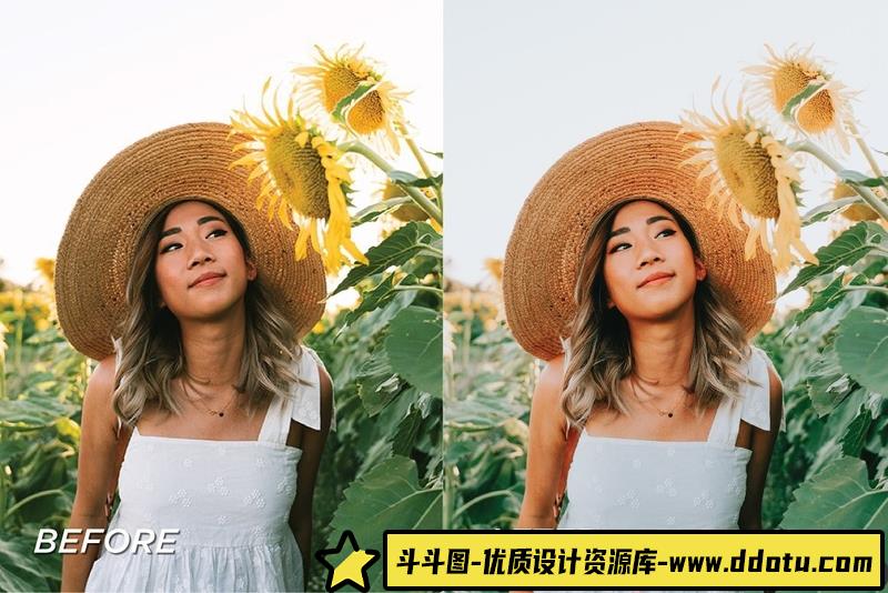 人像LR预设向日葵花田清新胶片人像预设+预设lr预设ps滤镜pr调色lightroom人像lut插件