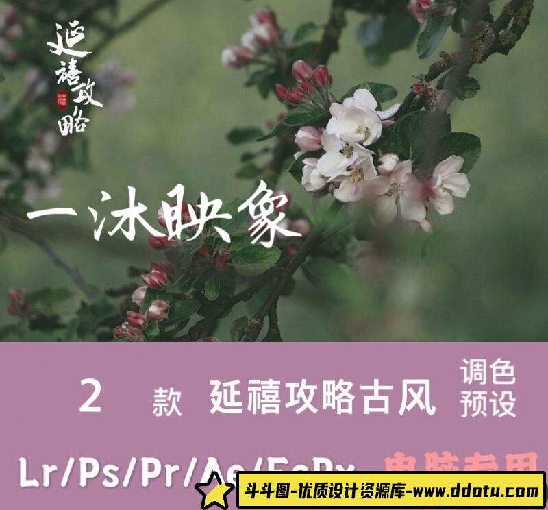人像LR预设延禧攻略和预设lr预设ps滤镜pr调色lightroom人像lut插件-斗斗图