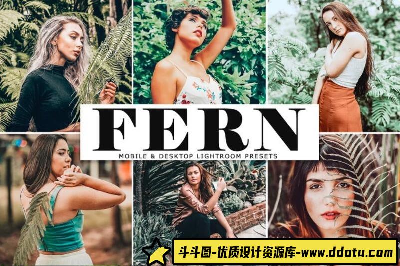 人像LR预设优美意境森系胶片人像后期调色预设lr预设ps滤镜pr调色lightroom人像lut插件-斗斗图