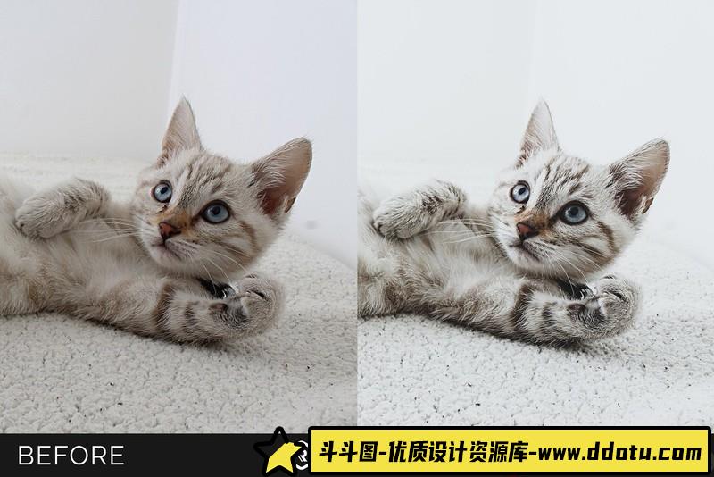 人像LR预设中性灰白色调居家人像产品摄影预设lr预设ps滤镜pr调色lightroom人像lut插件