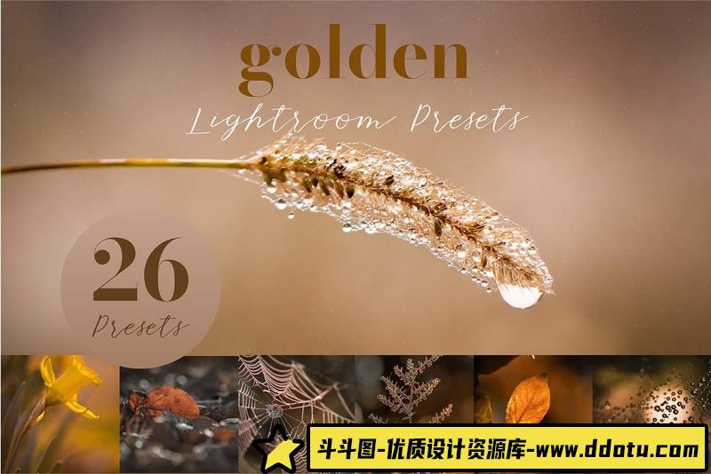 [风光LR预设]26个秋季微距风光金色调Lightroom预设 Golden Lightroom Presets-斗斗图