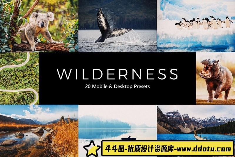 [风光LR预设]背包客旅拍风光胶片Lightroom预设-斗斗图