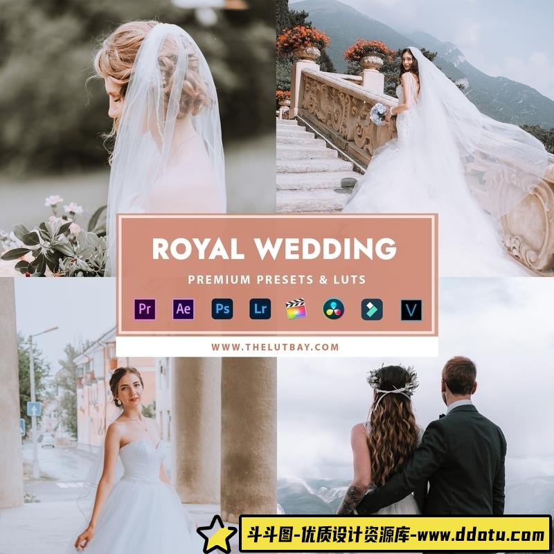 [婚礼LR预设]TheLutbay-明亮通透皇家风格婚礼人像LR预设和Vlog视频后期调色LUT预设-斗斗图