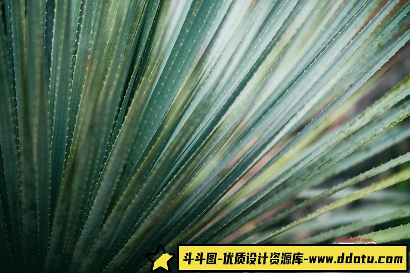 [婚礼LR预设]明亮通透艺术电影婚礼LR预设FILMSLOOKSFINEFineArtWeddingsLight&Airy