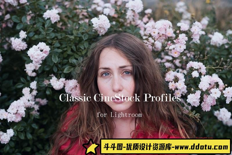 [胶片LR预设]TheClassicPresets经典胶卷Lightroom配置文件ClassicCineStockProfiles-斗斗图