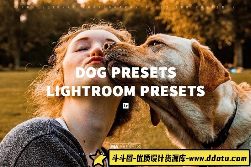 [胶片LR预设]宠物狗摄影后期调色LR预设10DOG–Mobile&DesktopLightroomPresets-斗斗图