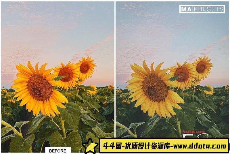 [胶片LR预设]电影胶片美学lr预设AESTHETICFILM–Mobile&DesktopLightroomPresets