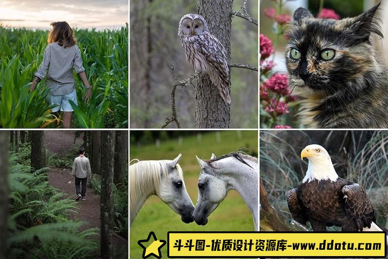 [胶片LR预设]黑暗情绪旅拍电影胶片Lightroom预设 (2)