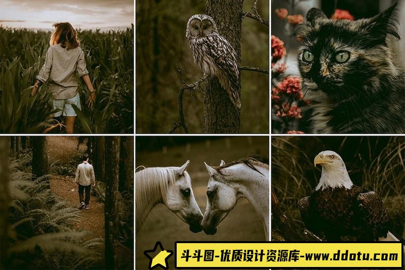 [胶片LR预设]黑暗情绪旅拍电影胶片Lightroom预设 (2)