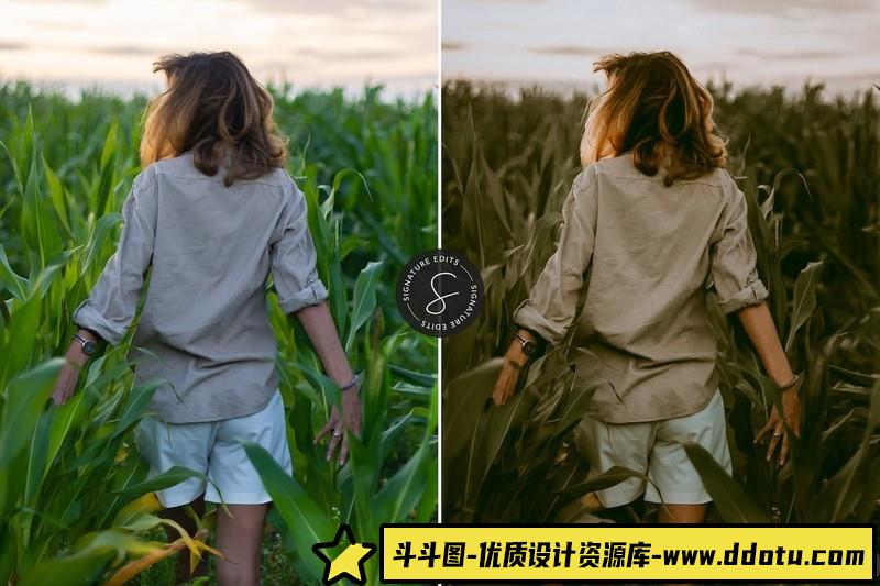 [胶片LR预设]黑暗情绪旅拍电影胶片Lightroom预设 (2)