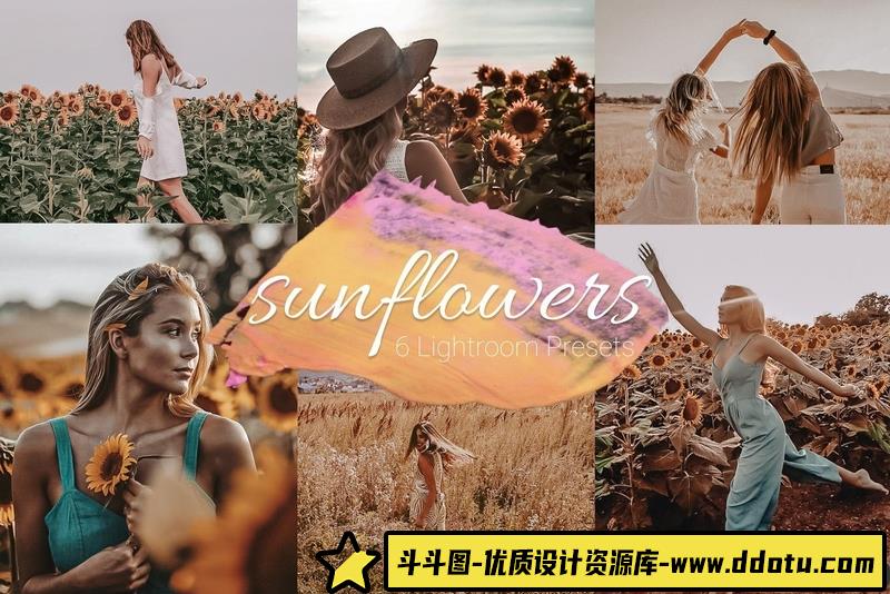 [胶片LR预设]现代感复古感电影胶片Lightroom预设Capture One预设和视频调色LUT预设-斗斗图