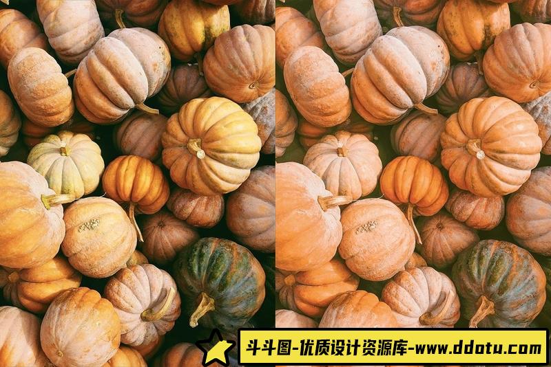 [旅拍LR预设]INS风秋季色调旅拍风光人像LR预设+移动APP预设 4 Autumn Lightroom Presets