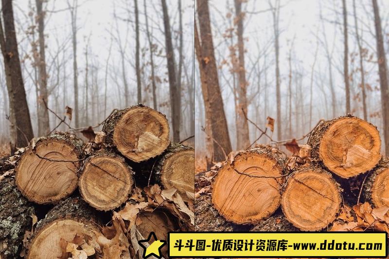 [旅拍LR预设]INS风秋季色调旅拍风光人像LR预设+移动APP预设 4 Autumn Lightroom Presets