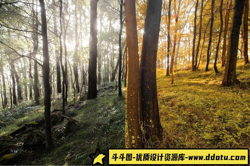 [旅拍LR预设]INS风秋季色调旅拍风光人像LR预设+移动APP预设 4 Autumn Lightroom Presets