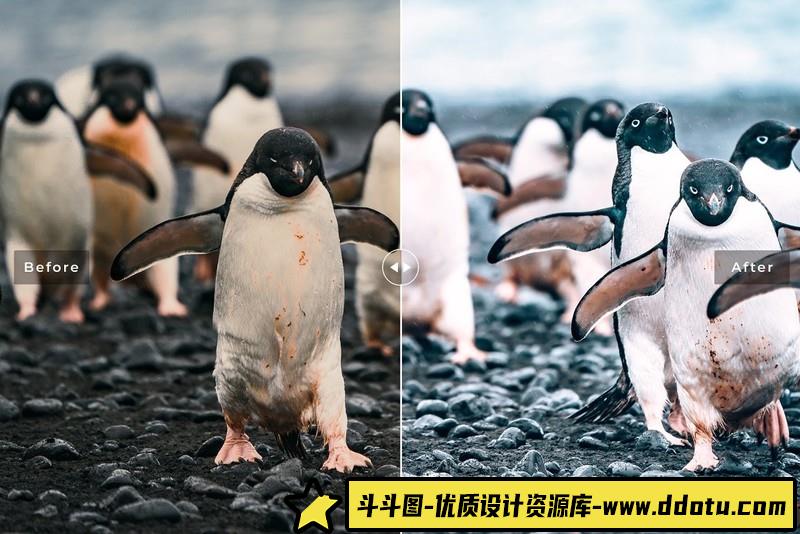 [旅拍LR预设]南极冰川冰山旅拍风光Lightroom预设