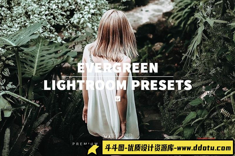人像LR预设10个清新胶片森系旅拍风光人像预设10lr预设ps滤镜pr调色lightroom人像lut插件-斗斗图