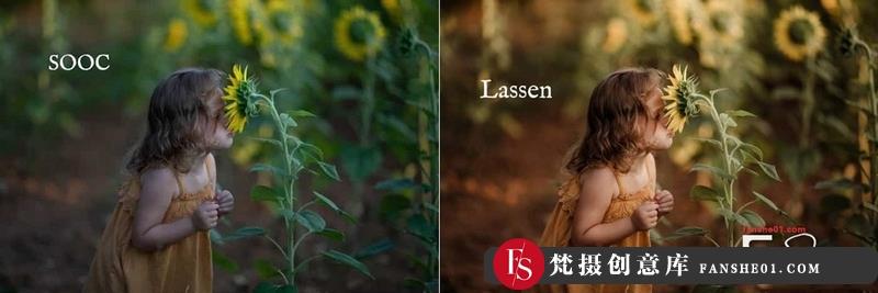 人像LR预设温暖家庭人像后期调色预设lr预设ps滤镜pr调色lightroom人像lut插件