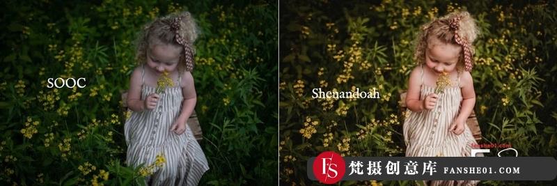 人像LR预设温暖家庭人像后期调色预设lr预设ps滤镜pr调色lightroom人像lut插件