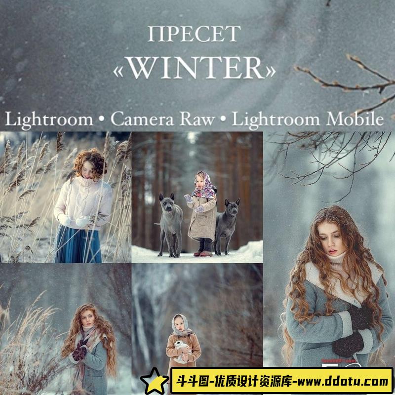 人像LR预设俄罗斯摄影师唯美冬季人像预设lr预设ps滤镜pr调色lightroom人像lut插件