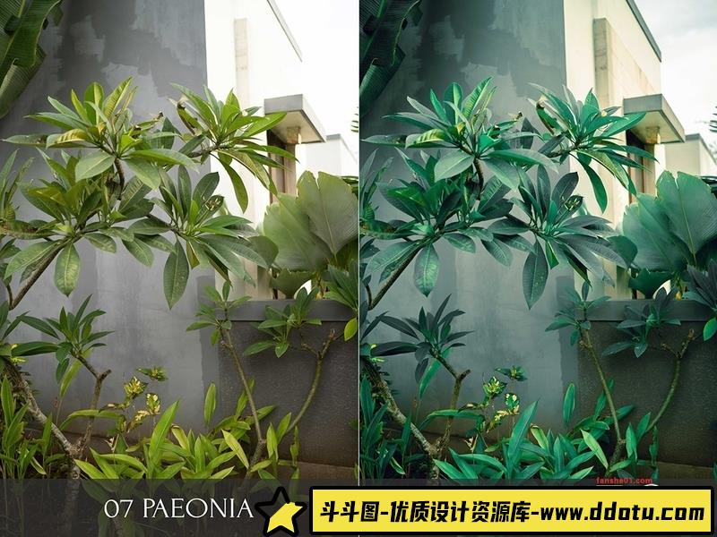 人像LR预设俄罗斯摄影师唯美冬季人像预设lr预设ps滤镜pr调色lightroom人像lut插件