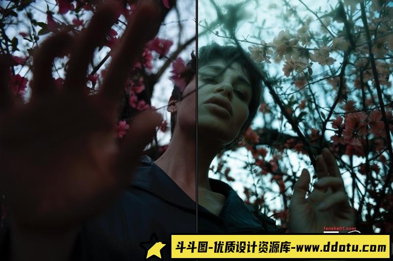 人像LR预设高端数字美学人像预设lr预设ps滤镜pr调色lightroom人像lut插件