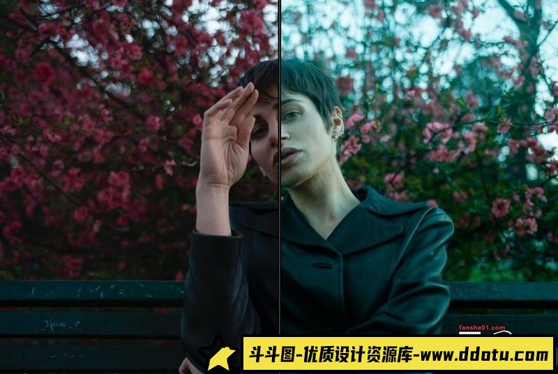 人像LR预设高端数字美学人像预设lr预设ps滤镜pr调色lightroom人像lut插件