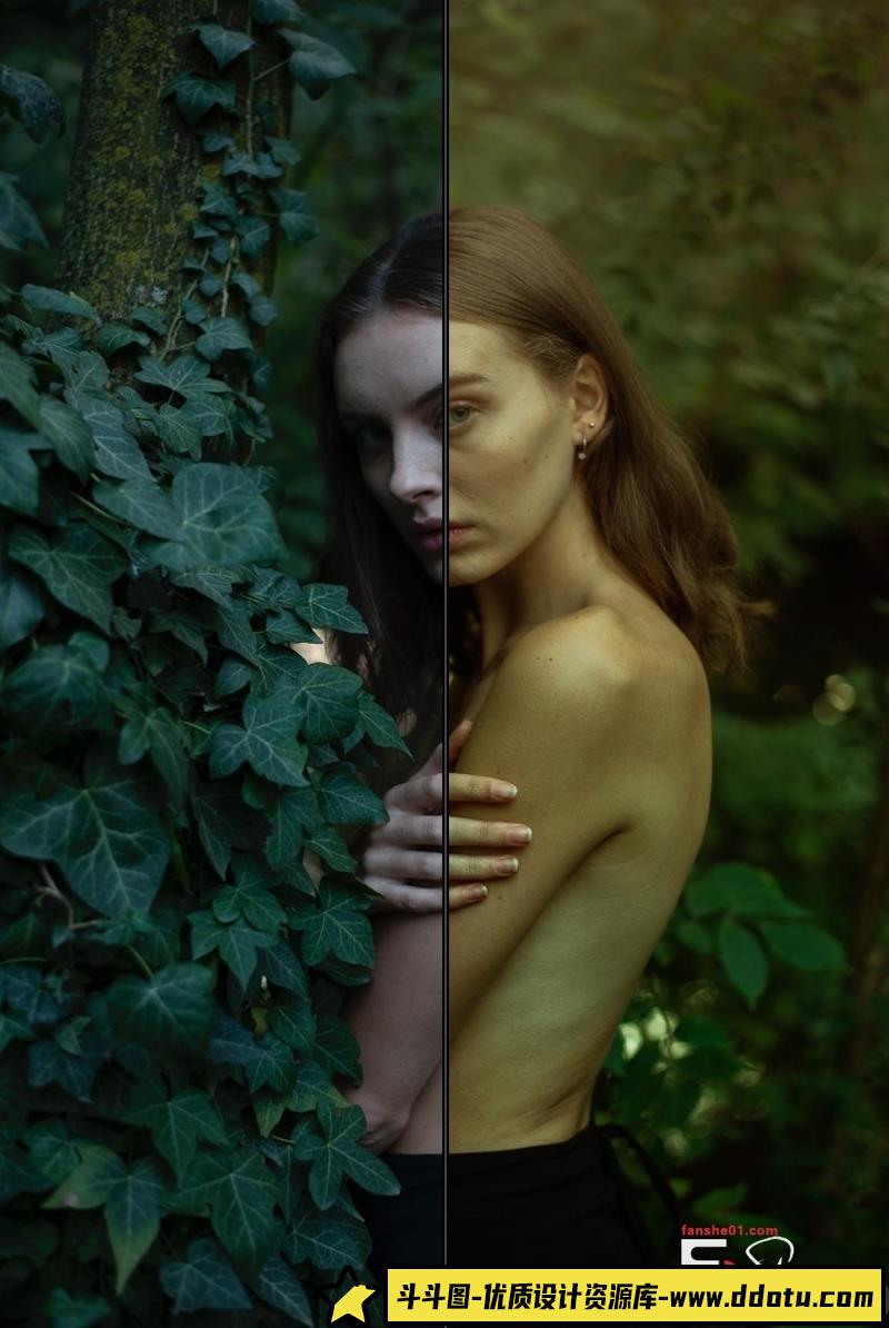 人像LR预设高端数字美学人像预设lr预设ps滤镜pr调色lightroom人像lut插件