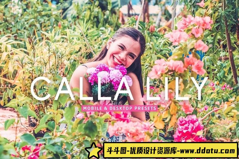 人像LR预设明亮温暖人像后期调色预设lr预设ps滤镜pr调色lightroom人像lut插件-斗斗图