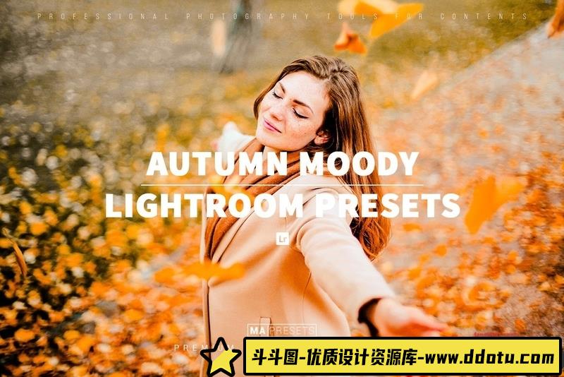 人像LR预设秋季情绪风光人像调色预设lr预设ps滤镜pr调色lightroom人像lut插件-斗斗图