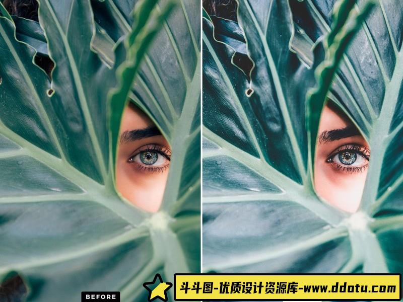 人像LR预设风复古通透胶片感预设lr预设ps滤镜pr调色lightroom人像lut插件