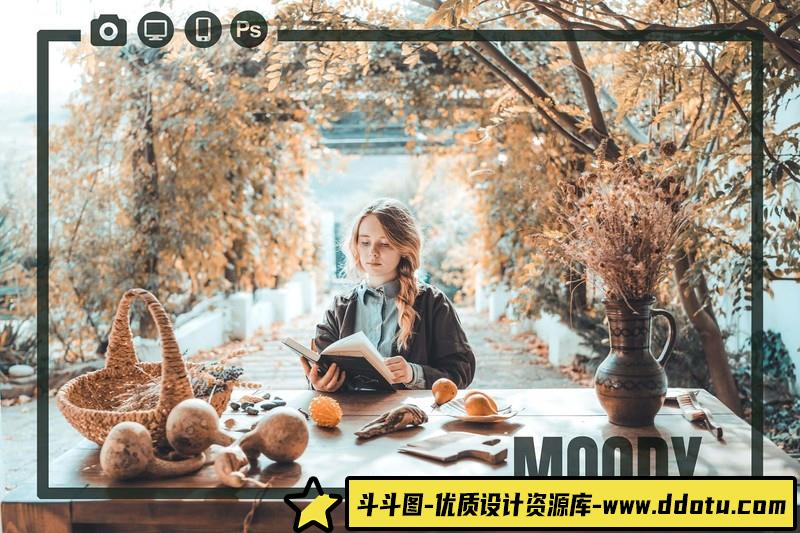 人像LR预设流行莫兰迪人像预设lr预设ps滤镜pr调色lightroom人像lut插件-斗斗图